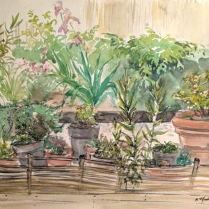 Petit jardin champêtre en Lot-et-Garonne, pots de fleurs et plantes variées, peint par l'artiste de l'Atelier Saint-Martin.